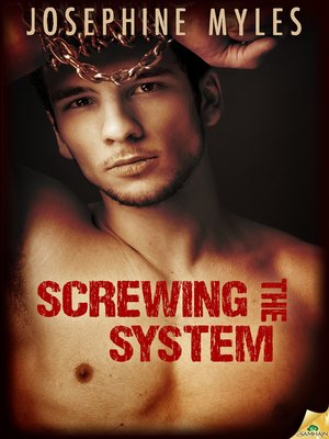 cover image of Screwing the System